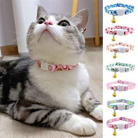 purrfect dog collar set.